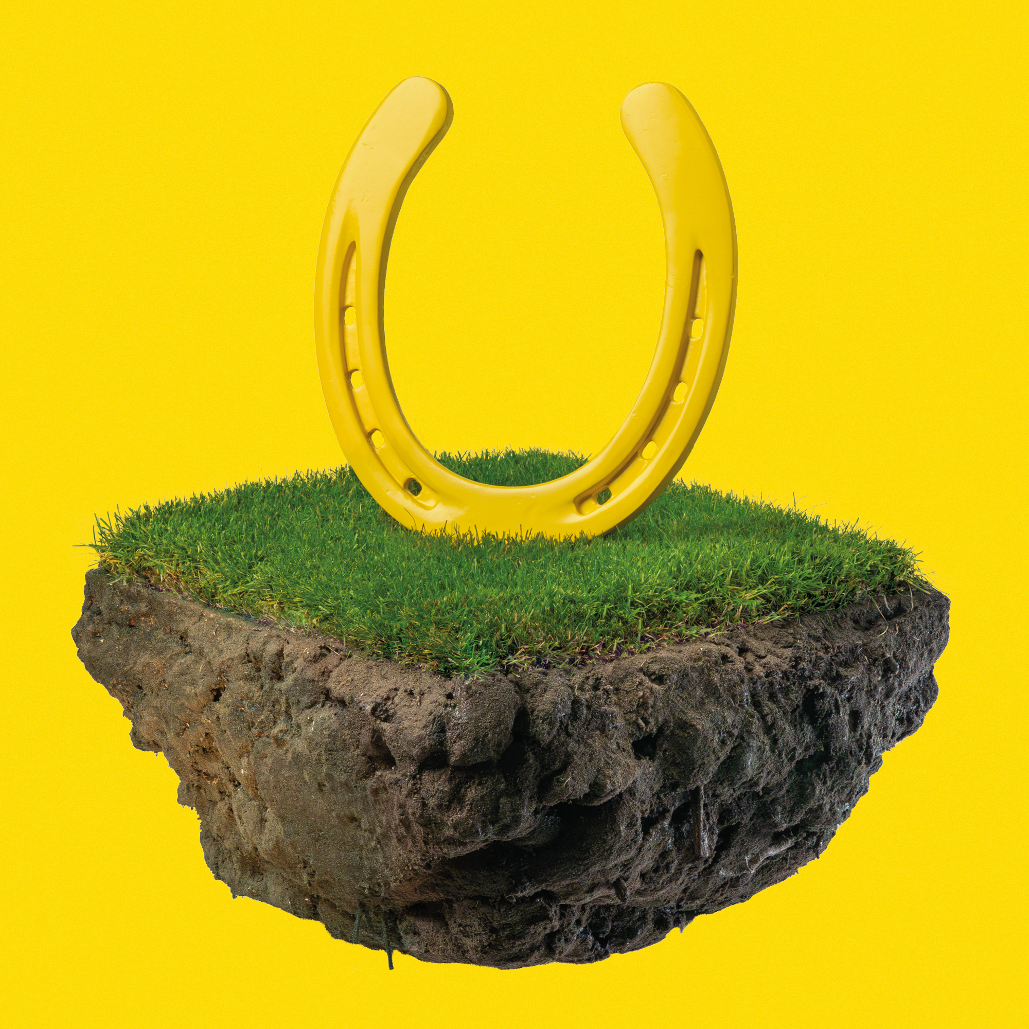 Groene paardenweiden