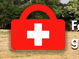 Header EHBO - tørre - græsarealer