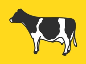 cows