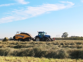 Græs til hø og ensilage: Hay Master