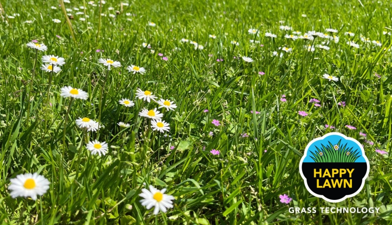 Happy Lawn® - Spice up your lawn!