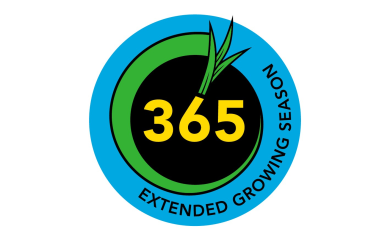 365.png