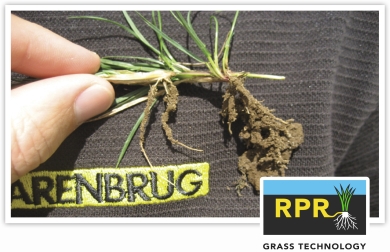 IMAGE-RPR-Strong-as-Iron