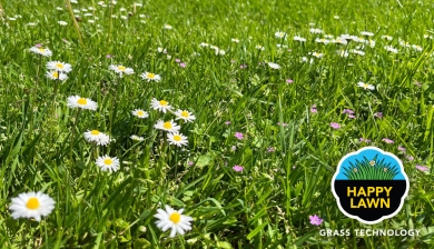 Happy Lawn® - Spice up your lawn!