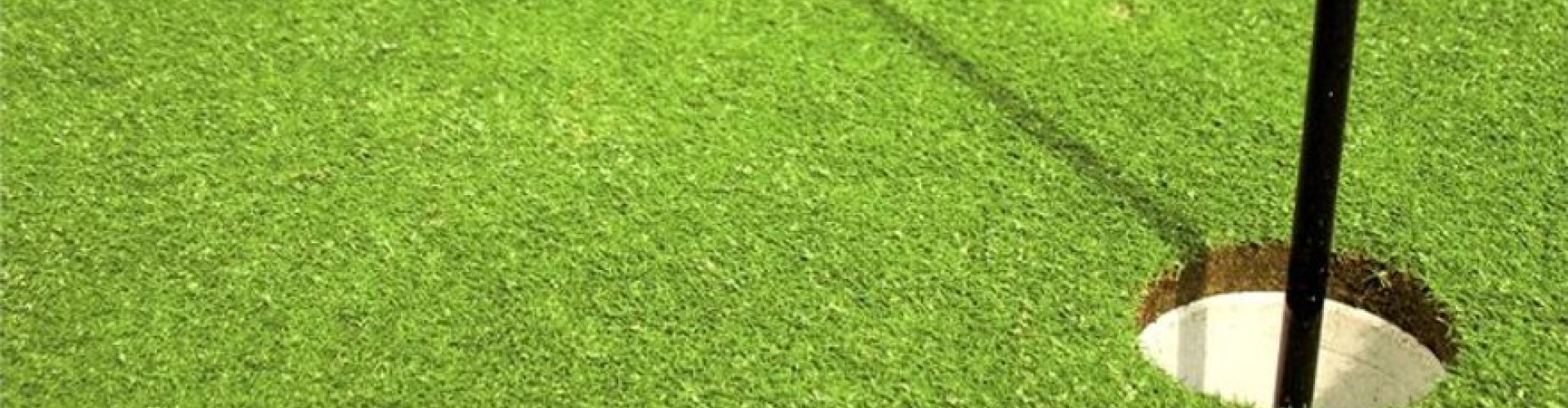 Grass