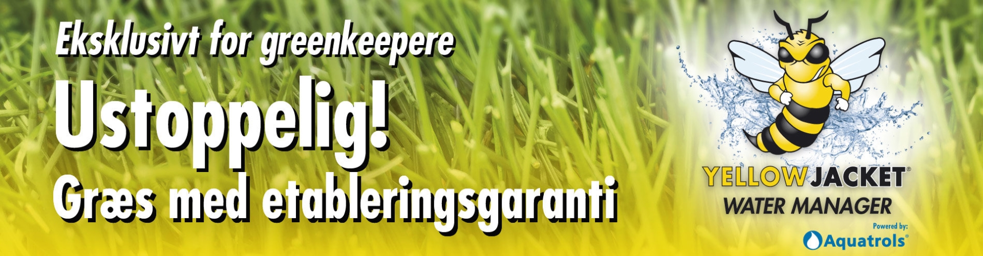 Grass