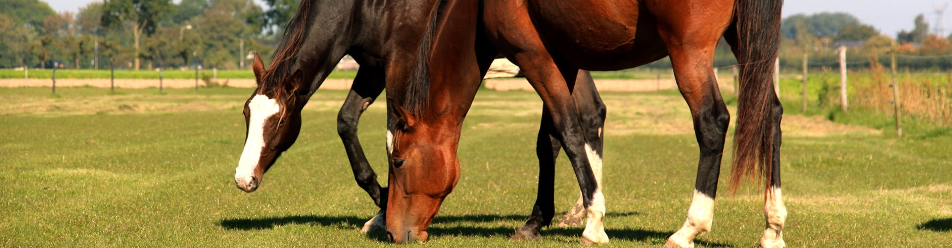 header_fertilize