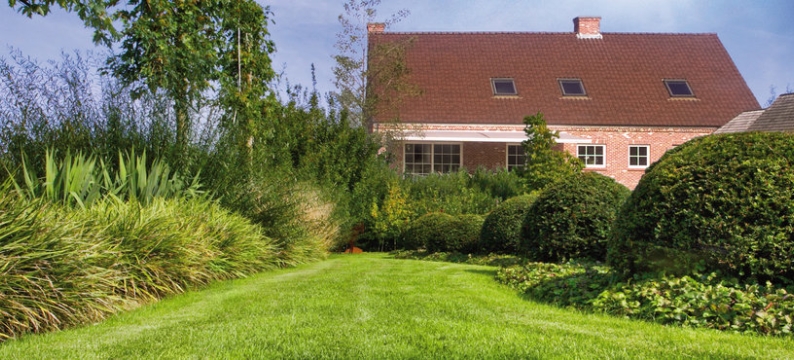 Grass