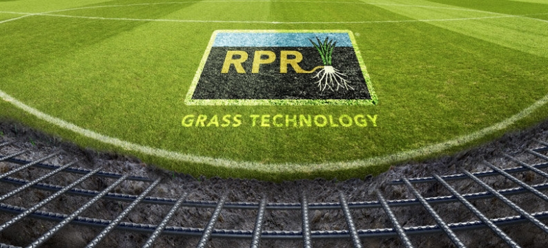 Grass