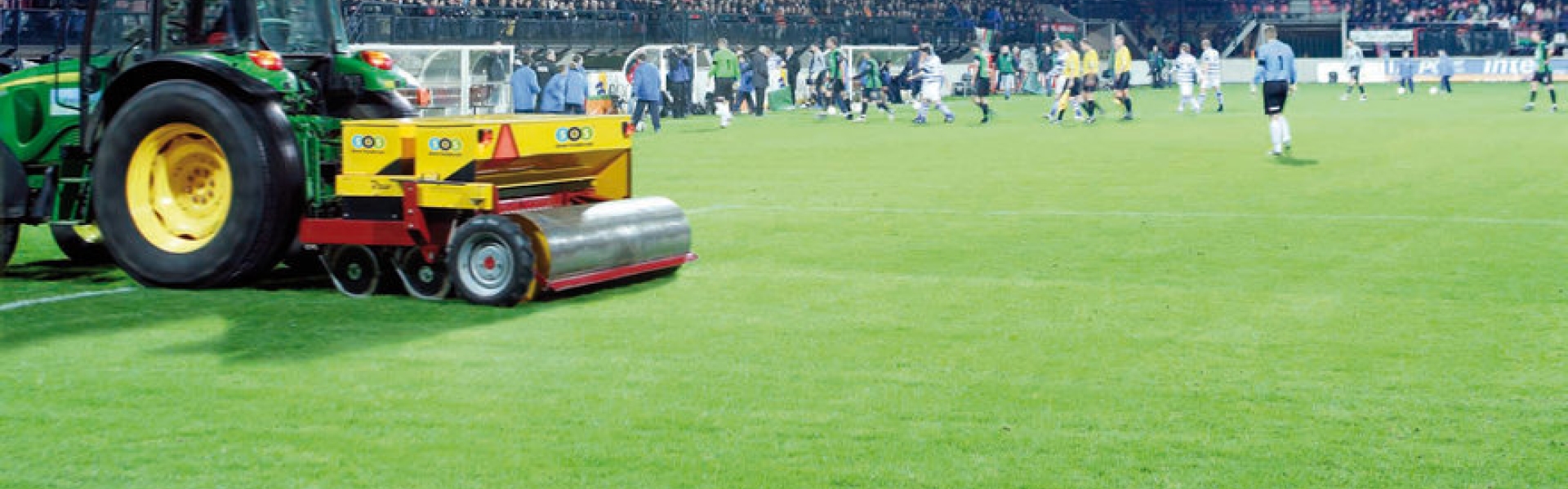 Grass