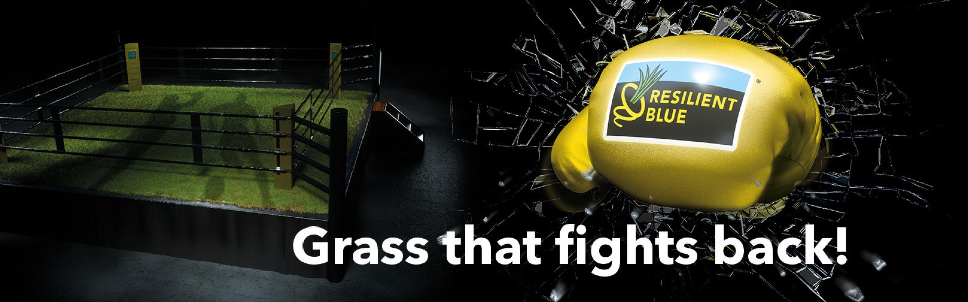 HEADER-Turf-ResilientBlue-500p-2024.jpg