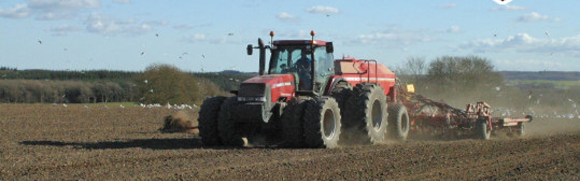 Lucerne crop manual