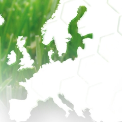 HEADER-Turf-EUF2021.jpg